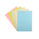 BCHCO, Pack Chemises cartonnées de 100 Pièces 4 Couleurs assorties