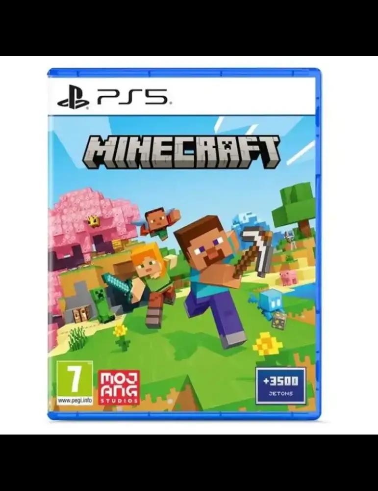 PlayStation Minecraft