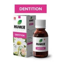 Phyto HUMER dentition