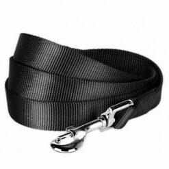 Laisse Nylon 25 Mm