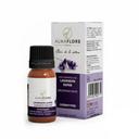 Almaflore Huile essentielle de Lavandin Super