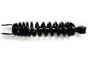 50 CC BUXY50 CC 245MM