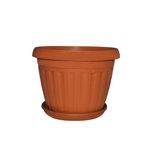 PLANTE D26 PLATEAU