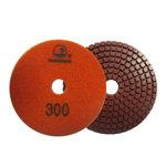 RESINE Disque DIAMANTEE D100 GR300