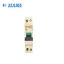 DPN Disjoncteur 2X16 CP60 SIAME