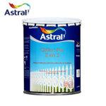 CELLUC DE FER 2EN1 4KG ASTRAL