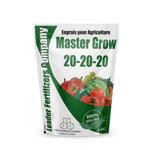 MASTER GROW 20.20.20 DE 1KG