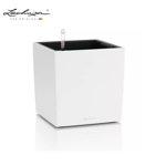 CUBE COLOR 30 LECHUZA