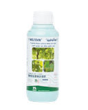 Moltovin
