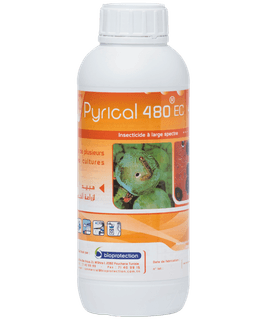 UPL Pyrical 480 EC