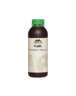 Atlantica Agricola KELIK K-Si