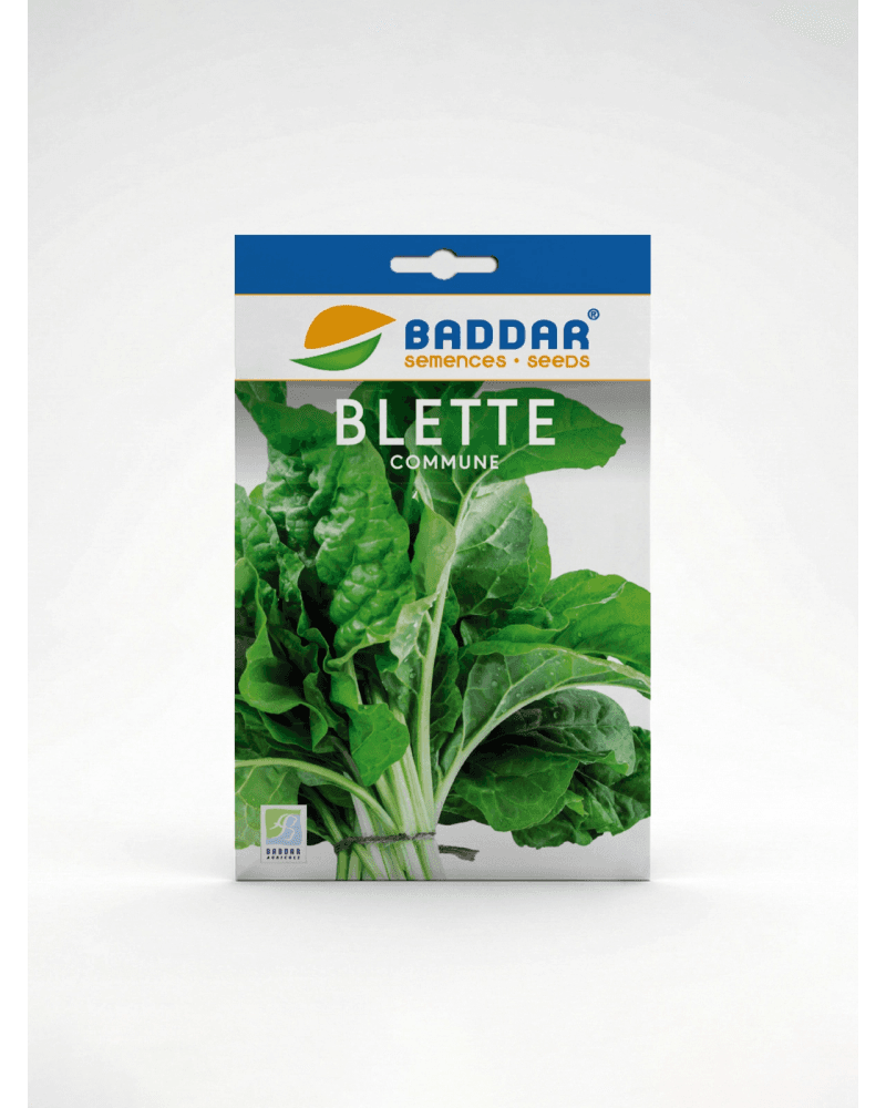 Baddar SEMENCE BLETTE BADDAR