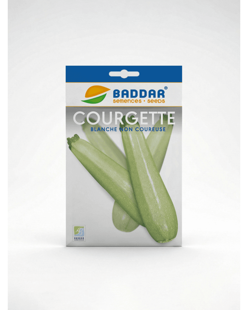 Baddar SEMENCE COURGETTE BLANCHE BADDAR