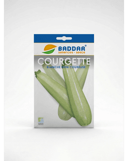 Baddar SEMENCE COURGETTE BLANCHE BADDAR