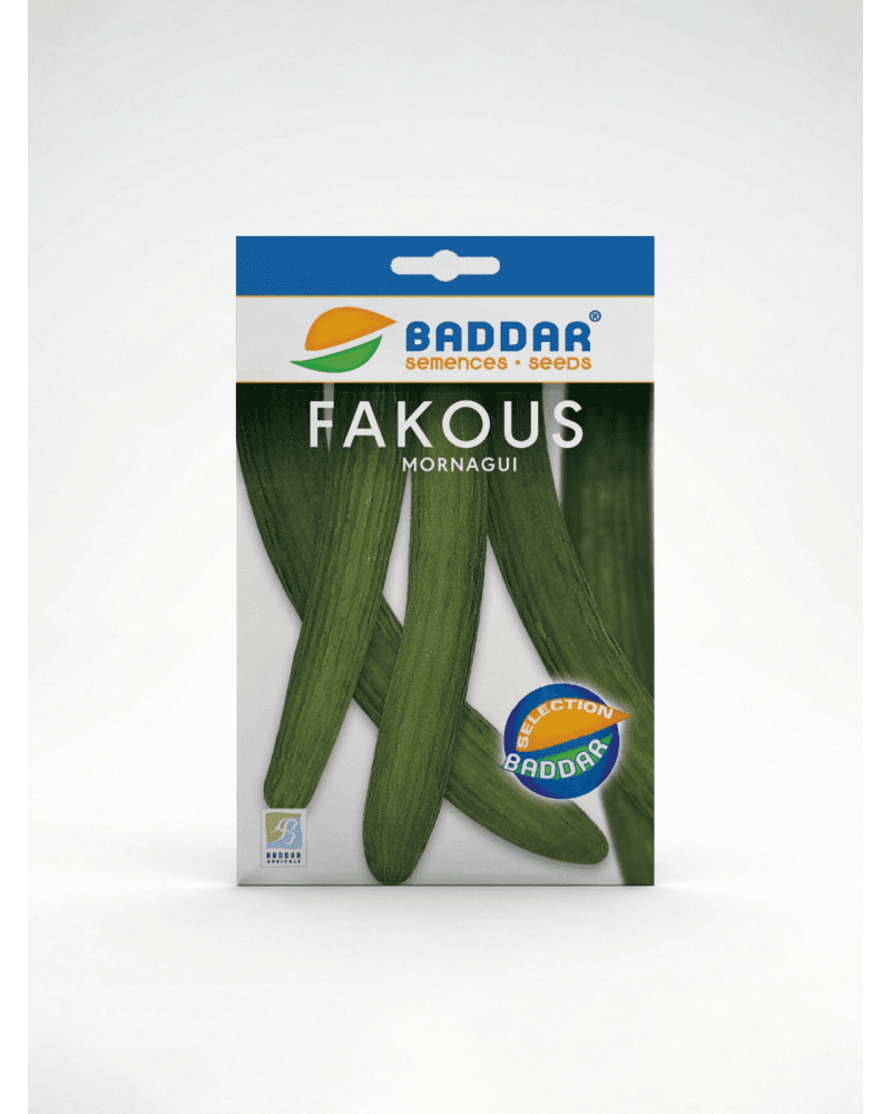 Baddar SEMENCE FAKOUS MORNAGUI