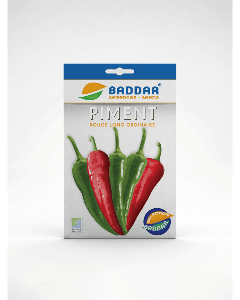 Baddar SEMENCE PIMENT ROUGE LONG ORDINAIRE
