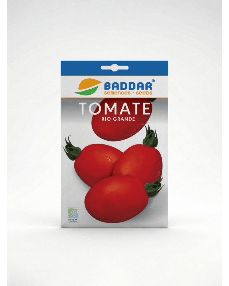 Baddar SEMENCE TOMATE RIO GRANDE BADDAR
