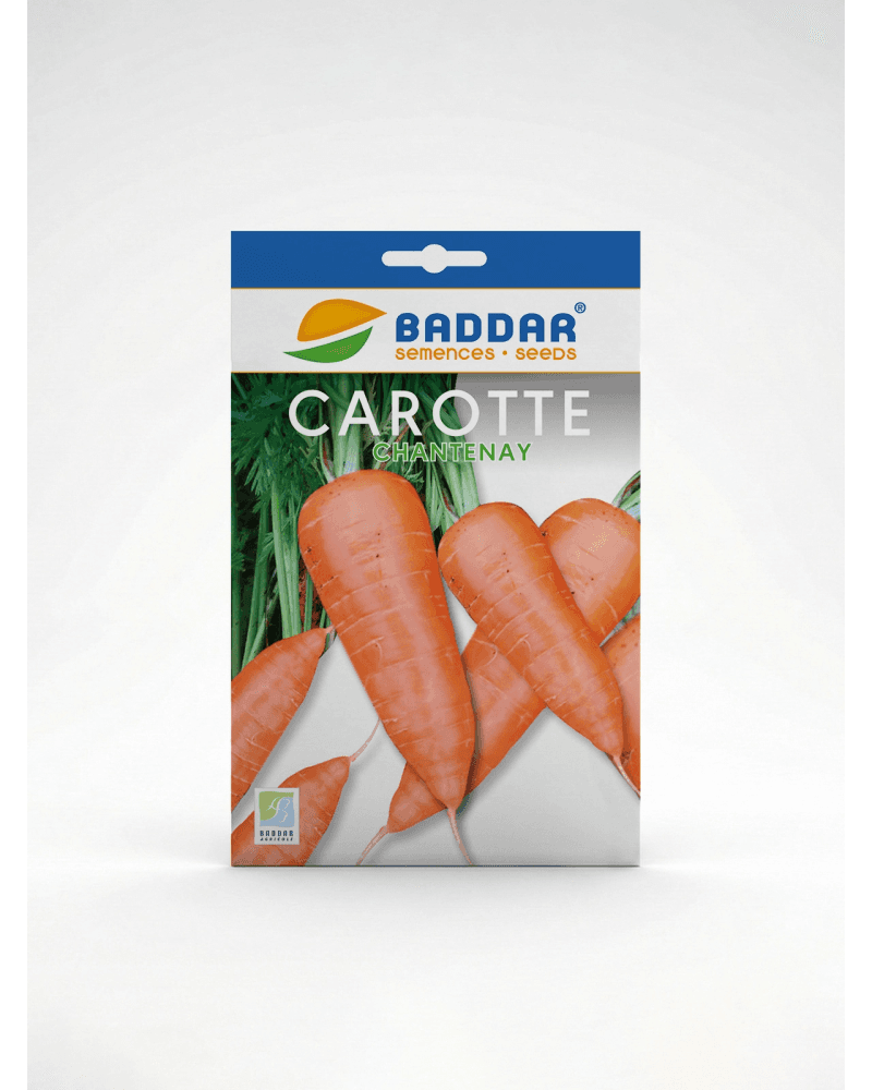 Baddar SEMENCE CAROTTE CHANTENAY BADDAR