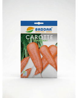 Baddar SEMENCE CAROTTE CHANTENAY BADDAR
