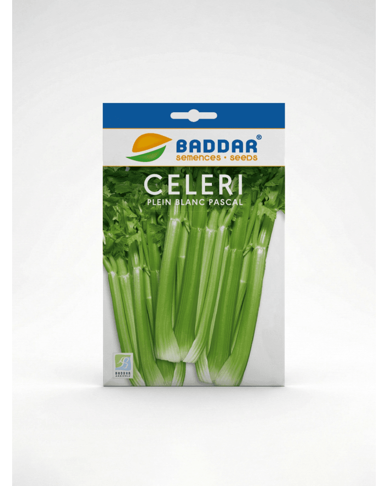 Baddar SEMENCE CELERIE PLAIN BLANC PASCAL BADDAR