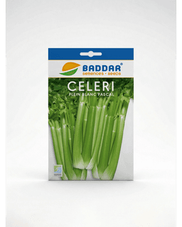 Baddar SEMENCE CELERIE PLAIN BLANC PASCAL BADDAR