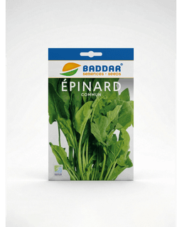 Baddar SEMENCE EPINARD COMMUN BADDAR