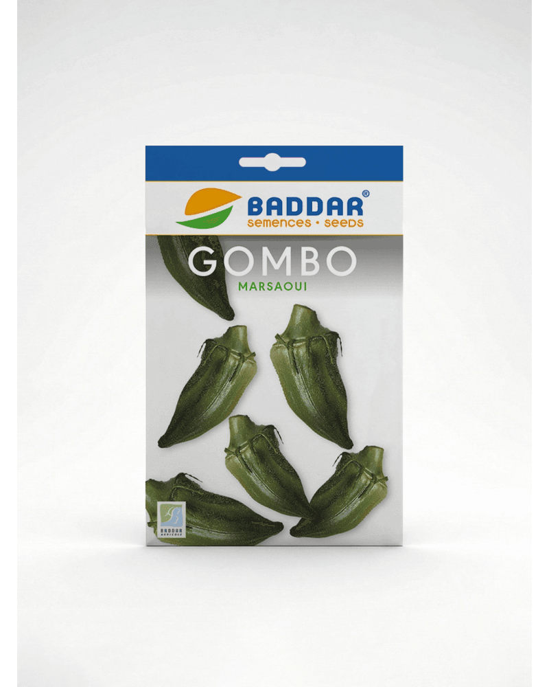 Baddar SEMENCE GOMBO MARSAOUI BADDAR