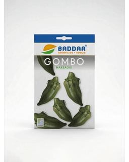 Baddar SEMENCE GOMBO MARSAOUI BADDAR