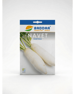 Baddar SEMENCE NAVET MARTEAU BADDAR