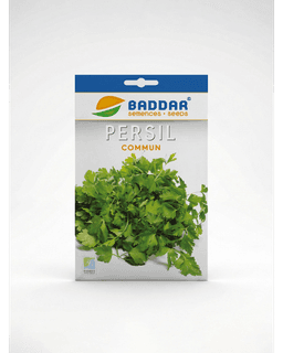 Baddar SEMENCE PERSIL COMMUN BADDAR