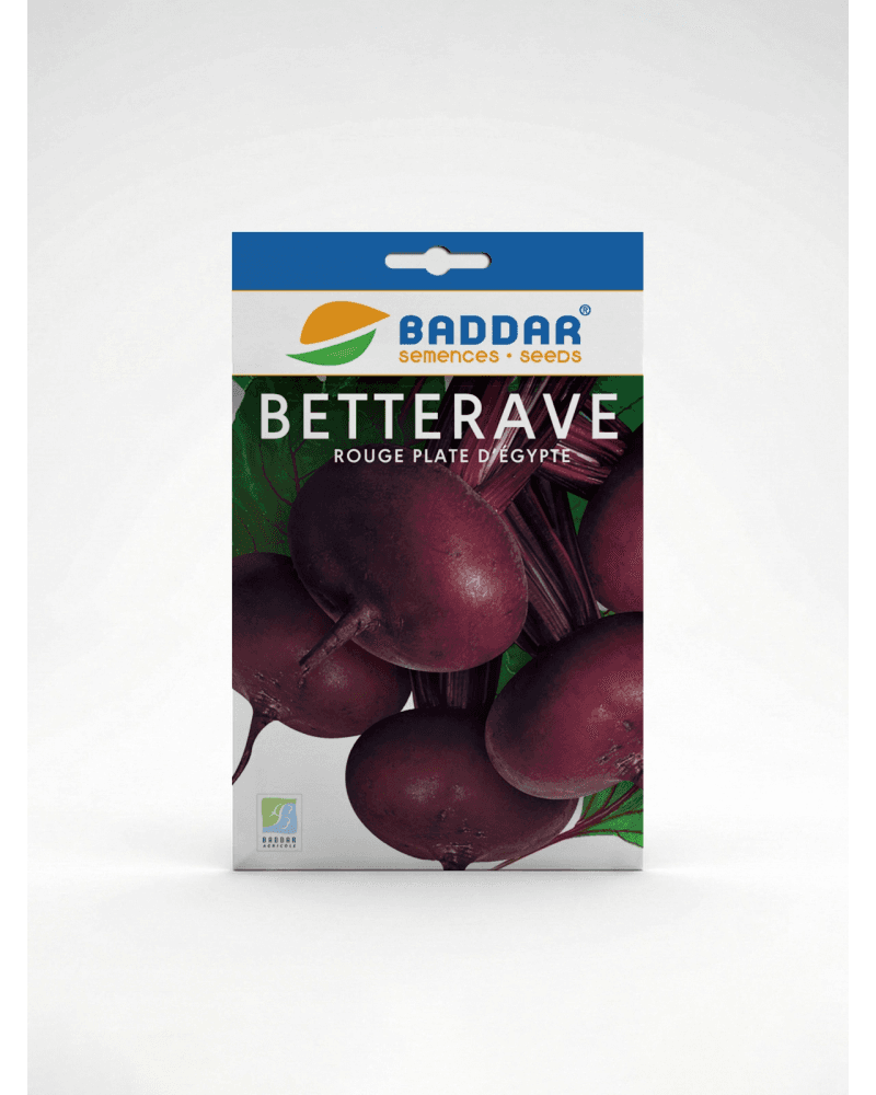 Baddar SEMENCE BETTRAVE ROUGE PLATE D'EGYPTE BADDAR