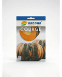 SEMENCE COURGE BEJAOUI BADDAR