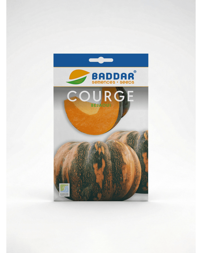 Baddar SEMENCE COURGE BEJAOUI BADDAR
