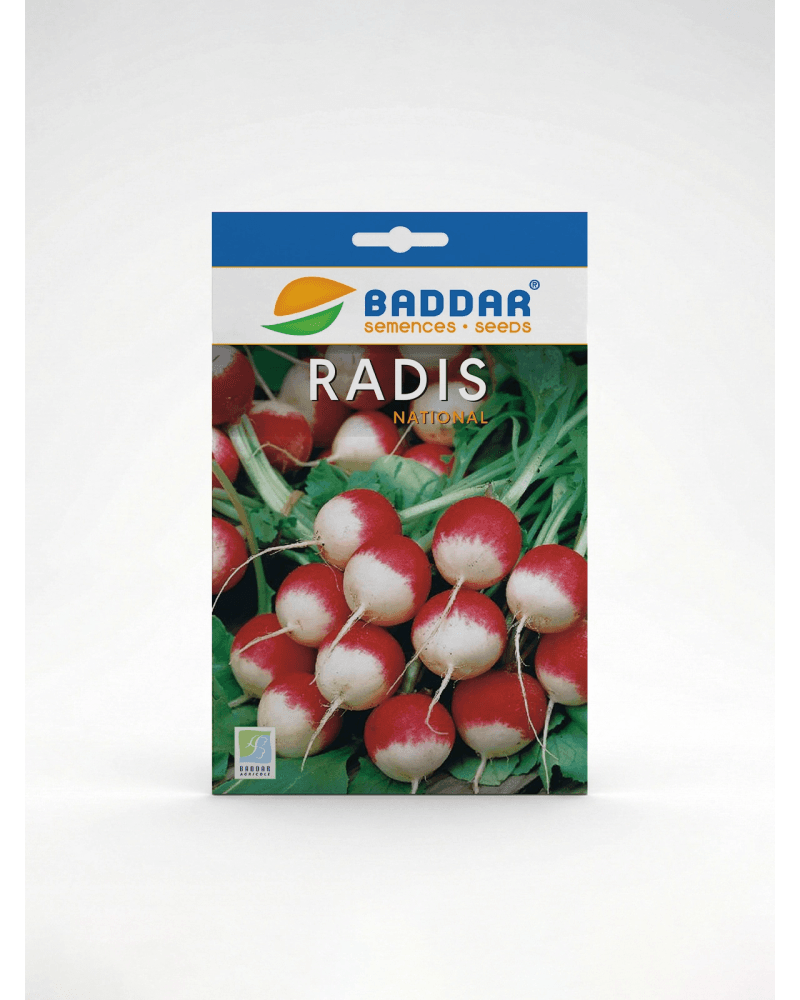 Baddar SEMENCE RADIS NATIONAL BADDAR
