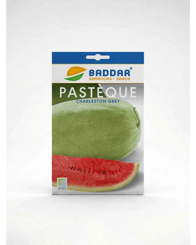 Baddar SEMENCE PASTEQUE CHARLESTON
