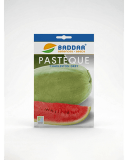 Baddar SEMENCE PASTEQUE CHARLESTON