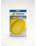 SEMENCE MELON JAUNE CANARIA BADDAR