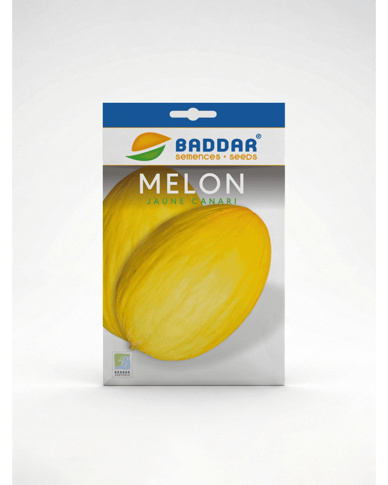 Baddar SEMENCE MELON JAUNE CANARIA BADDAR
