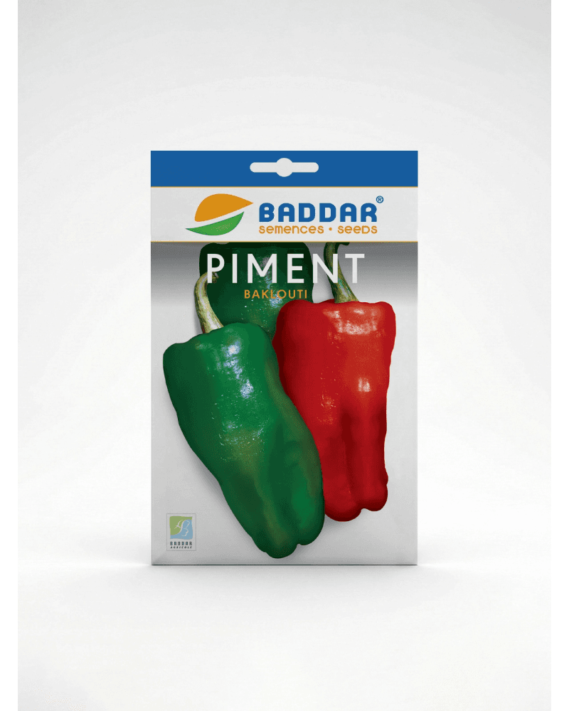 Baddar SEMENCE PIMENT BAKLOUTI BADDAR