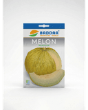 SEMENCE MELON MAAZOUN BADDAR