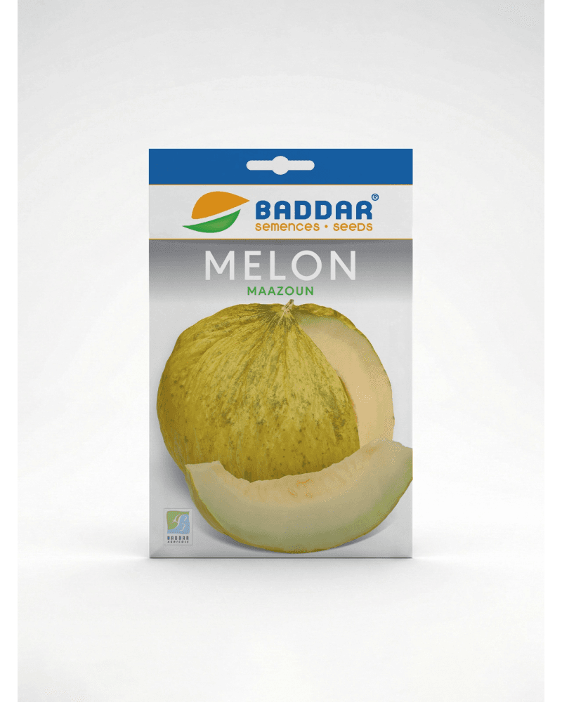 Baddar SEMENCE MELON MAAZOUN BADDAR
