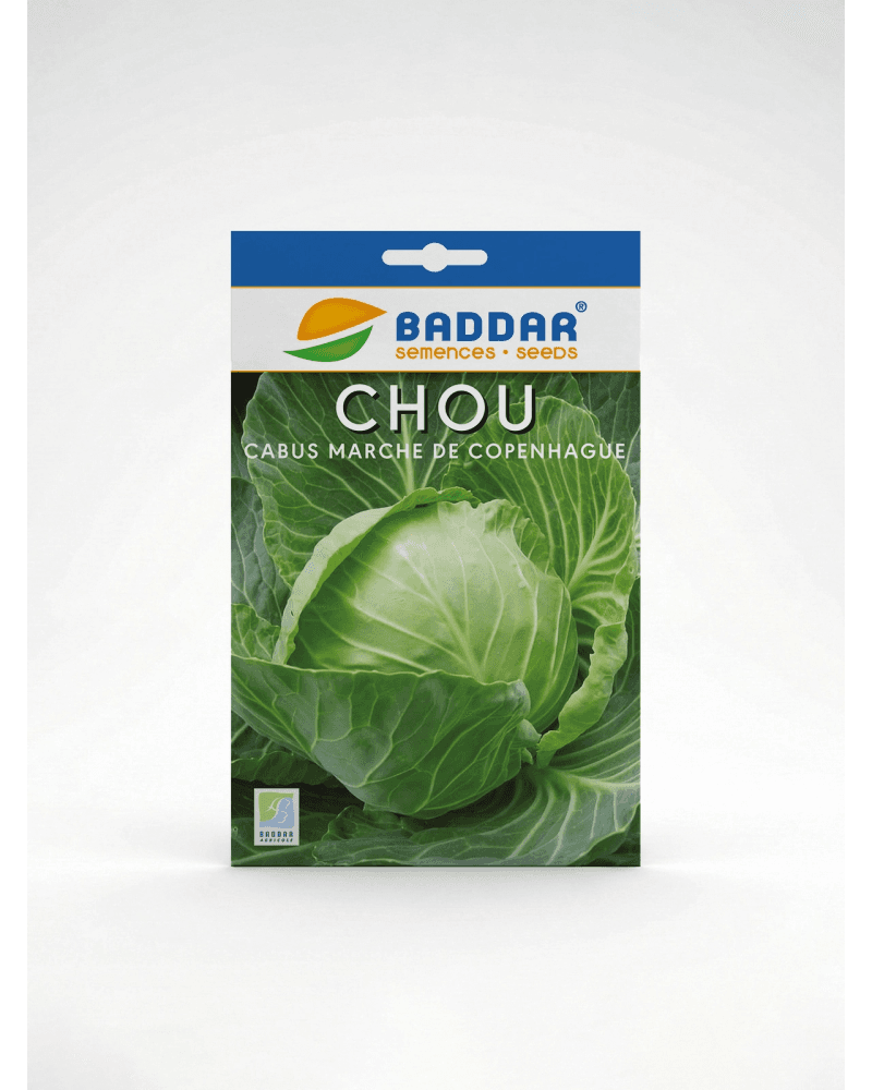 Baddar SEMENCE CHOU CABUS MARCHE DE COPENHAGUE BADDAR