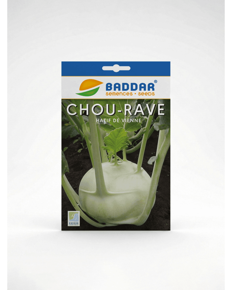 Baddar SEMENCE CHOU RAVE HATIF DE VIENNE BADDAR
