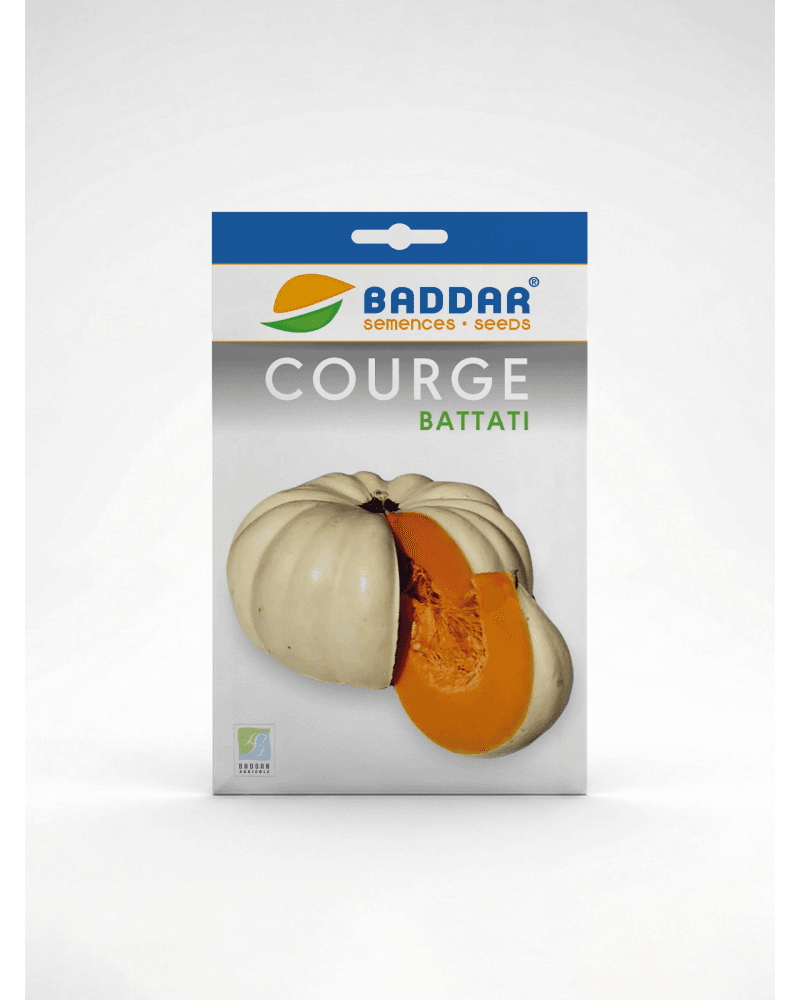 Baddar SEMENCE COURGE BATTATI