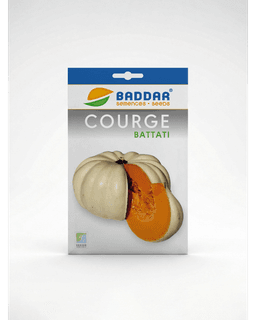 Baddar SEMENCE COURGE BATTATI