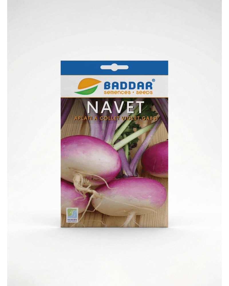 Baddar SEMENCE NAVET APLATI A COLLET VIOLLET GABSI BADDAR
