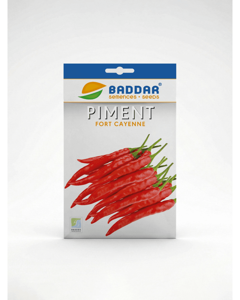 Baddar SEMENCE PIMENT FORT CAYENNE BADDAR