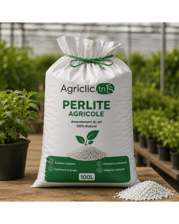 Agriclic Perlite Agricole