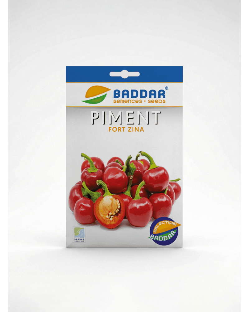 Baddar SEMENCE PIMENT FORT ZINA BADDAR
