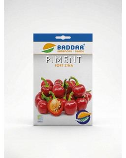 Baddar SEMENCE PIMENT FORT ZINA BADDAR